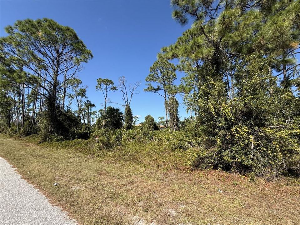 合同活跃: $155,000 (1.17 acres)