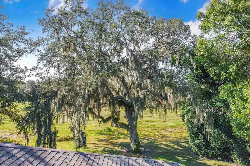 Active With Contract: $279,000 (2 beds, 2 baths, 1793 Square Feet)