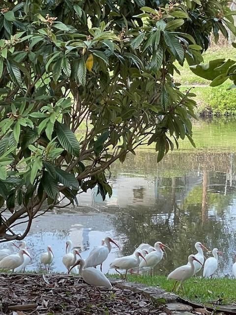 待售: $659,000 (5 贝兹, 3 浴室, 2701 平方英尺)