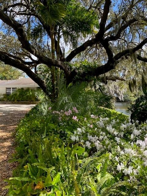 待售: $659,000 (5 贝兹, 3 浴室, 2701 平方英尺)