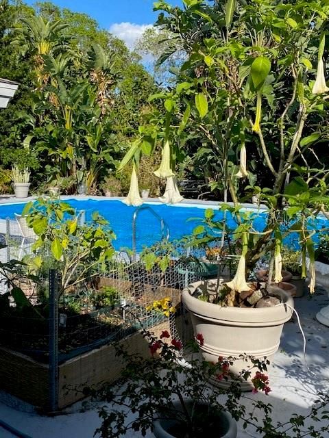 待售: $659,000 (5 贝兹, 3 浴室, 2701 平方英尺)