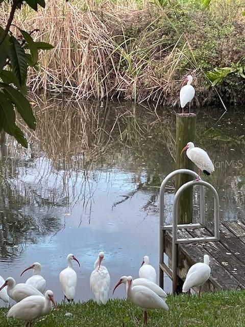 待售: $659,000 (5 贝兹, 3 浴室, 2701 平方英尺)