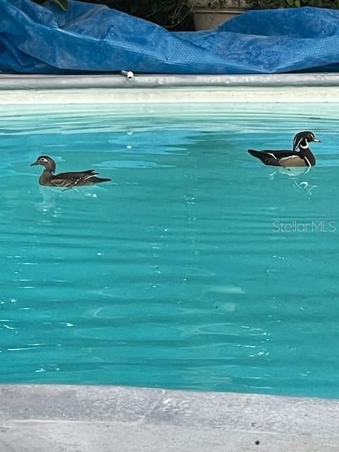 待售: $659,000 (5 贝兹, 3 浴室, 2701 平方英尺)