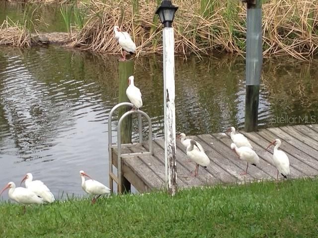 待售: $659,000 (5 贝兹, 3 浴室, 2701 平方英尺)