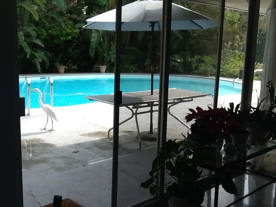 待售: $659,000 (5 贝兹, 3 浴室, 2701 平方英尺)