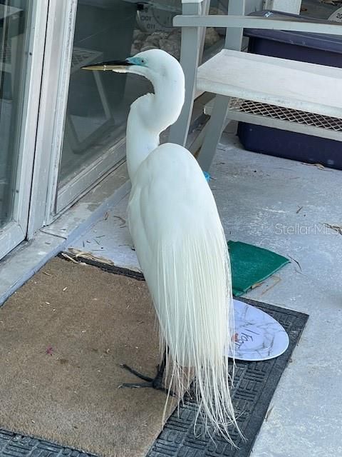 待售: $659,000 (5 贝兹, 3 浴室, 2701 平方英尺)