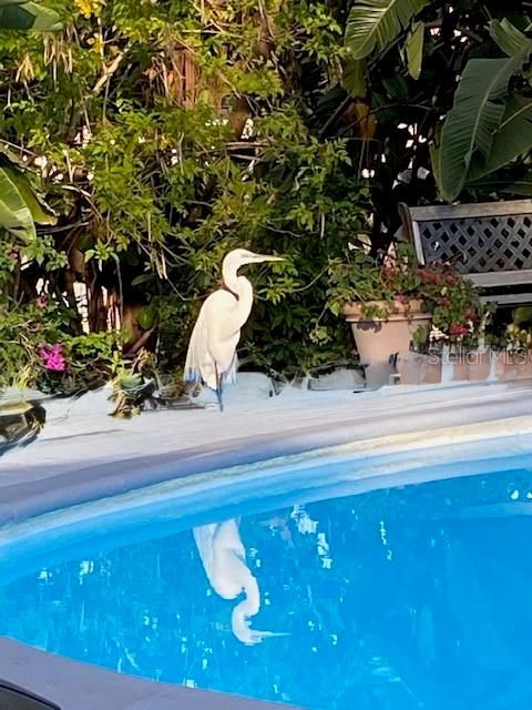 待售: $659,000 (5 贝兹, 3 浴室, 2701 平方英尺)