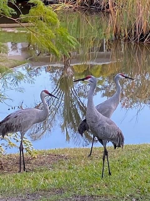 待售: $659,000 (5 贝兹, 3 浴室, 2701 平方英尺)