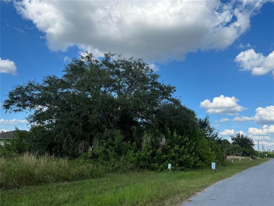 En Venta: $28,000 (0.17 acres)