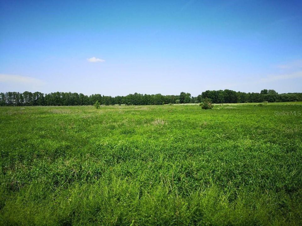 Недавно продано: $855,000 (0.99 acres)