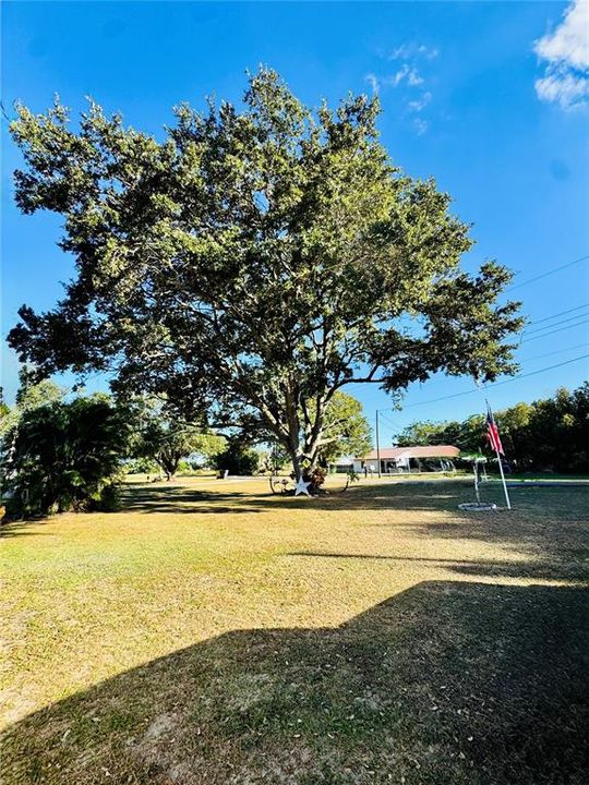 合同活跃: $165,000 (2 贝兹, 1 浴室, 896 平方英尺)