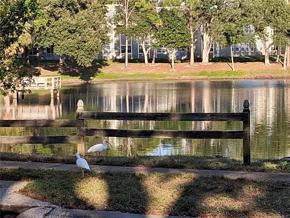 На продажу: $649,000 (4 спален, 2 ванн, 2344 Квадратных фут)