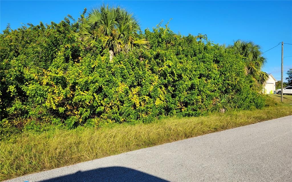 For Sale: $20,000 (0.23 acres)