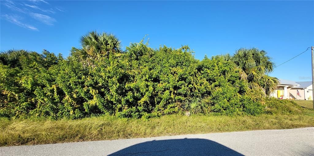 For Sale: $20,000 (0.23 acres)