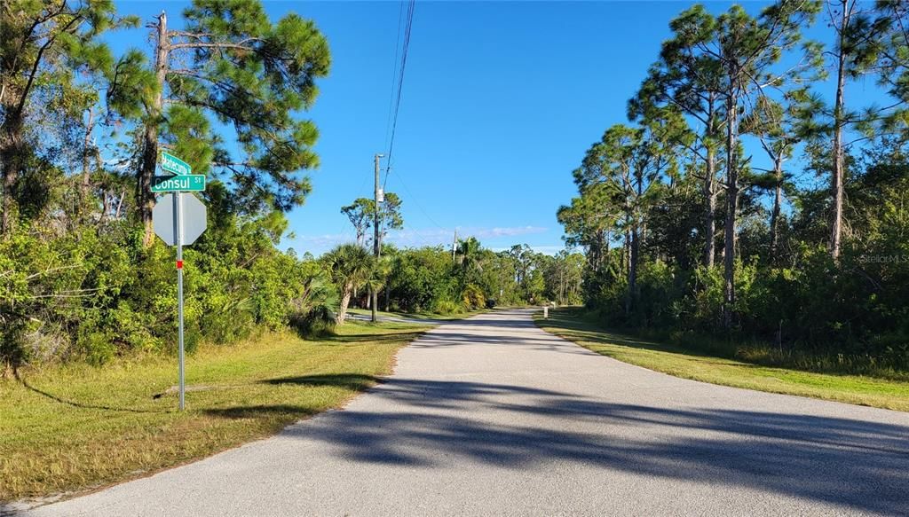 For Sale: $29,000 (0.24 acres)