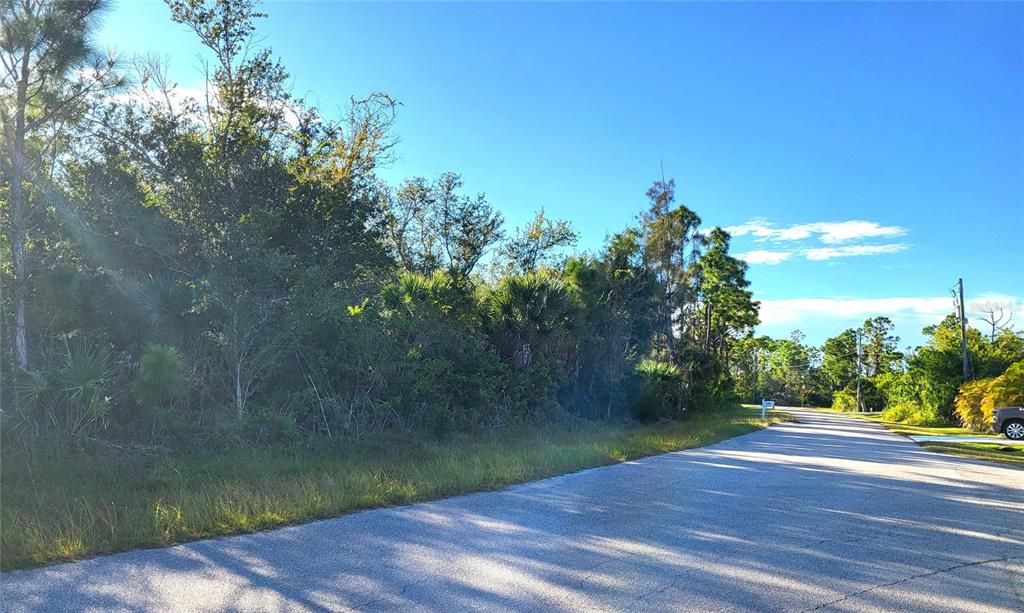 For Sale: $29,000 (0.24 acres)