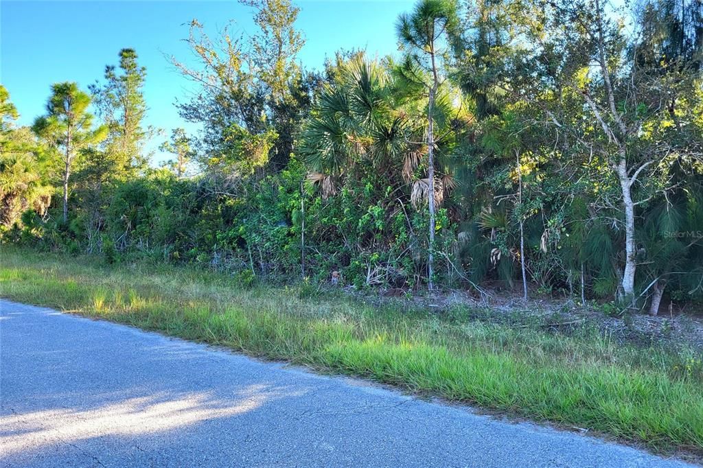 For Sale: $29,000 (0.24 acres)