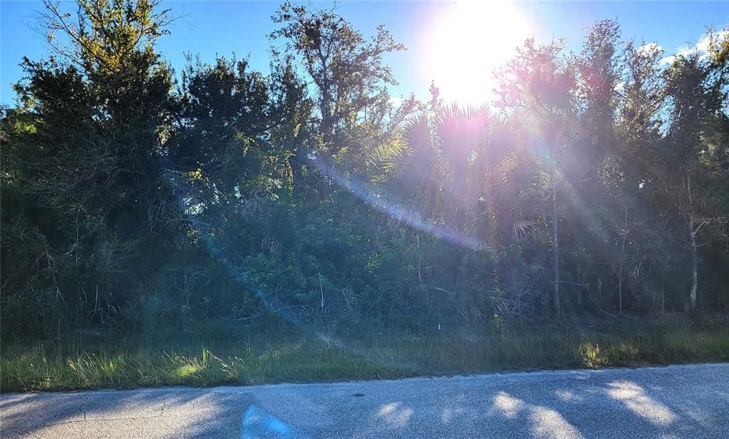 For Sale: $29,000 (0.24 acres)