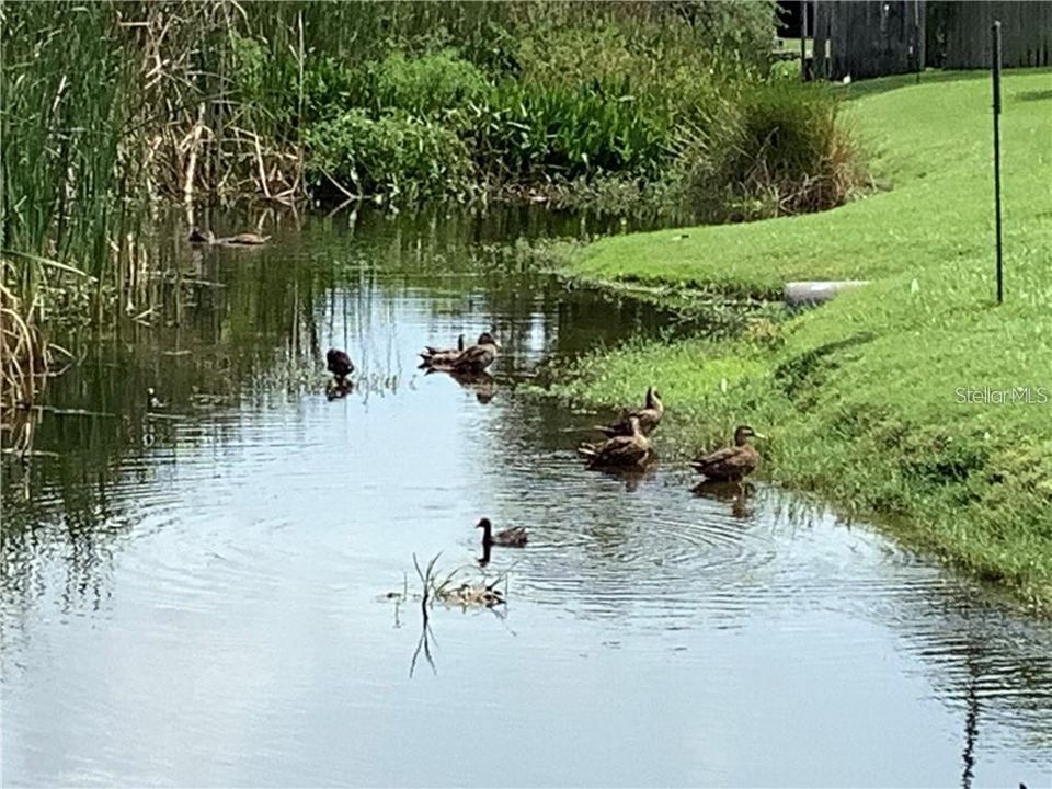 For Sale: $175,000 (2 beds, 2 baths, 1018 Square Feet)