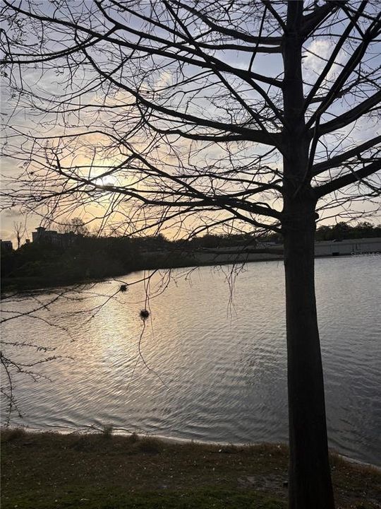 Под контрактом: $1,200 (1 спален, 1 ванн, 496 Квадратных фут)