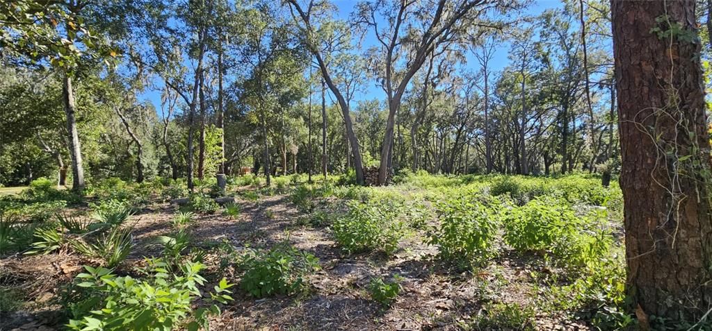 En Venta: $599,000 (5.40 acres)