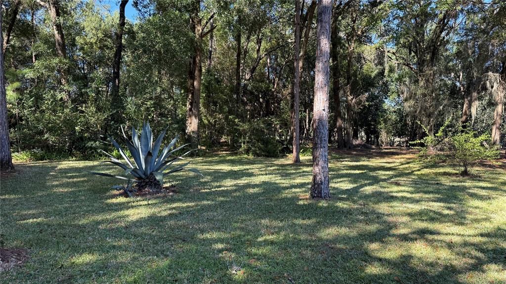 На продажу: $425,000 (3 спален, 2 ванн, 2174 Квадратных фут)