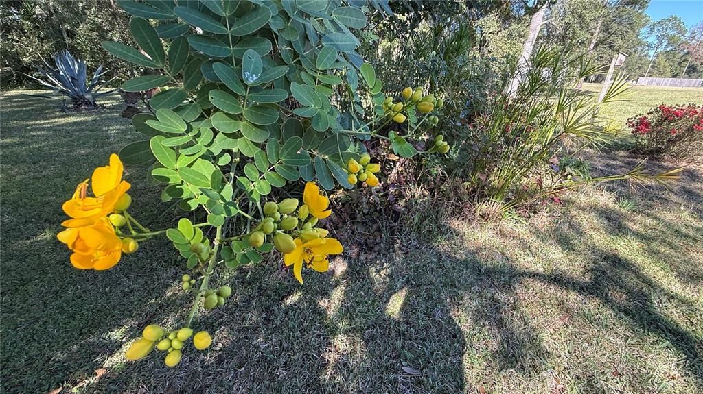 На продажу: $425,000 (3 спален, 2 ванн, 2174 Квадратных фут)