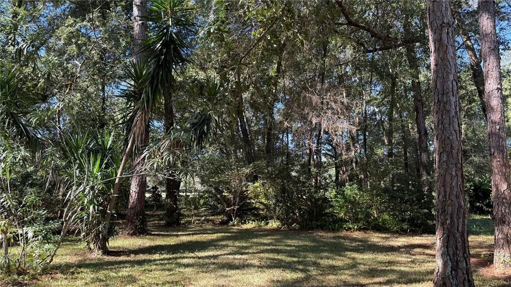 На продажу: $425,000 (3 спален, 2 ванн, 2174 Квадратных фут)