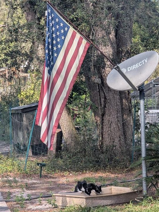 For Sale: $410,000 (4 beds, 2 baths, 1904 Square Feet)