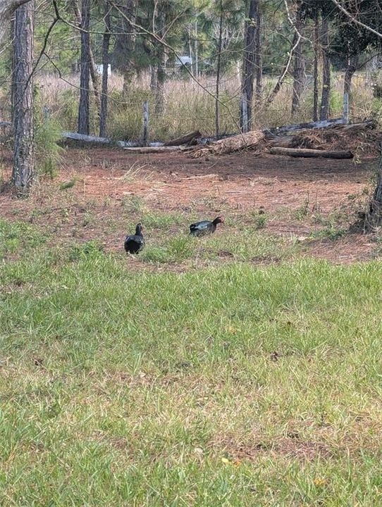 For Sale: $410,000 (4 beds, 2 baths, 1904 Square Feet)