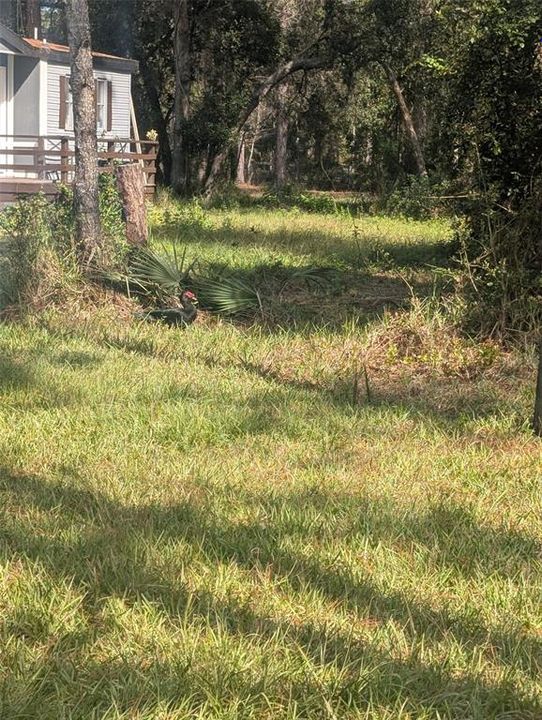 For Sale: $410,000 (4 beds, 2 baths, 1904 Square Feet)