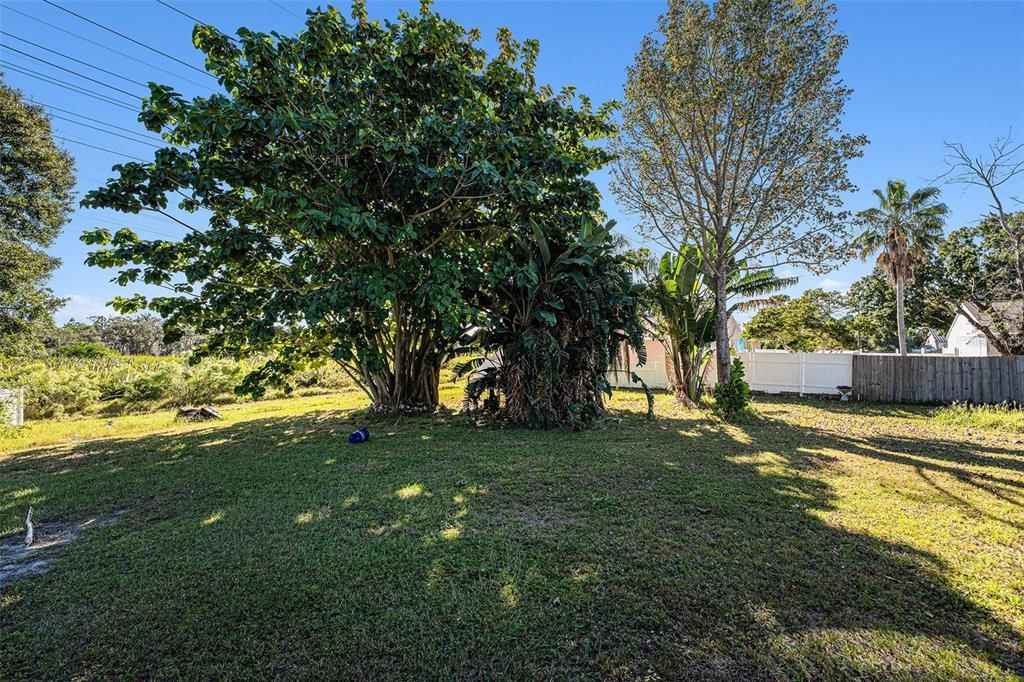 For Sale: $295,000 (3 beds, 2 baths, 1274 Square Feet)