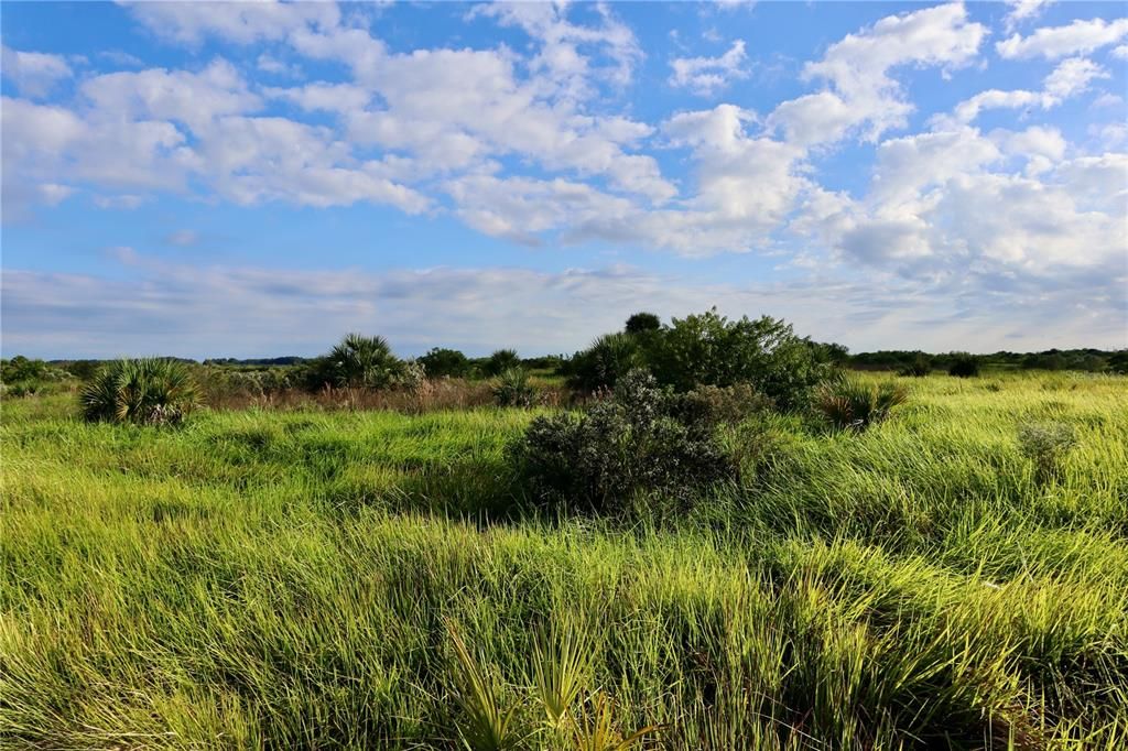 待售: $39,900 (0.24 acres)