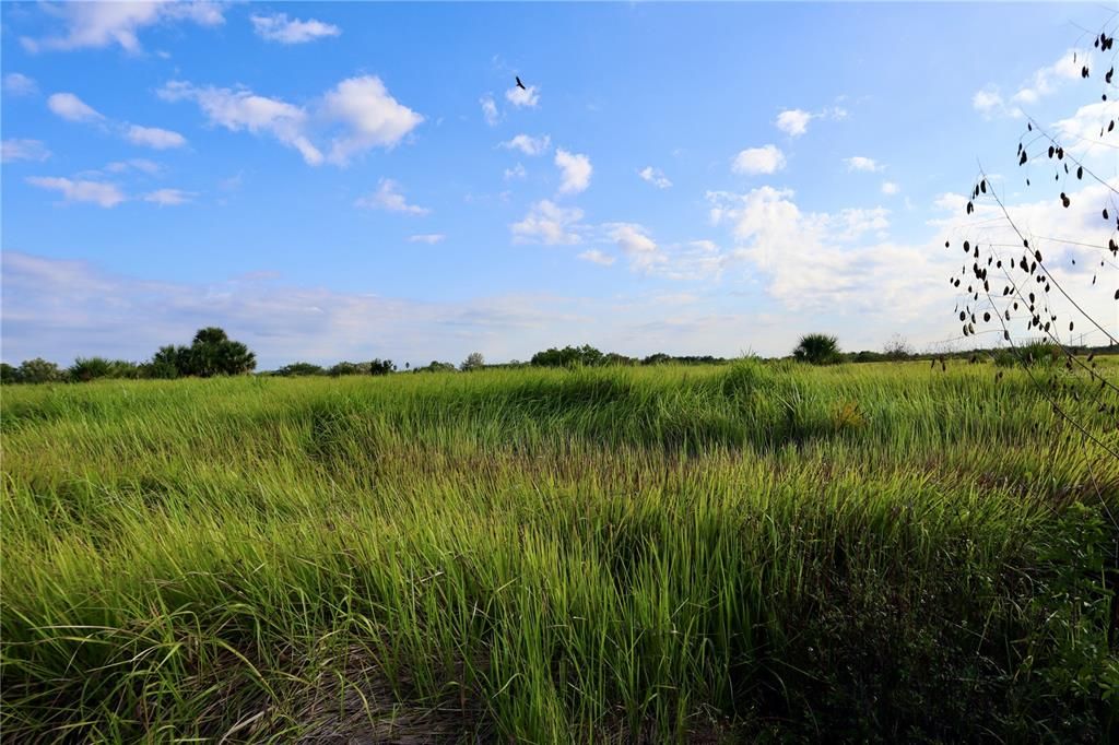 待售: $39,900 (0.24 acres)