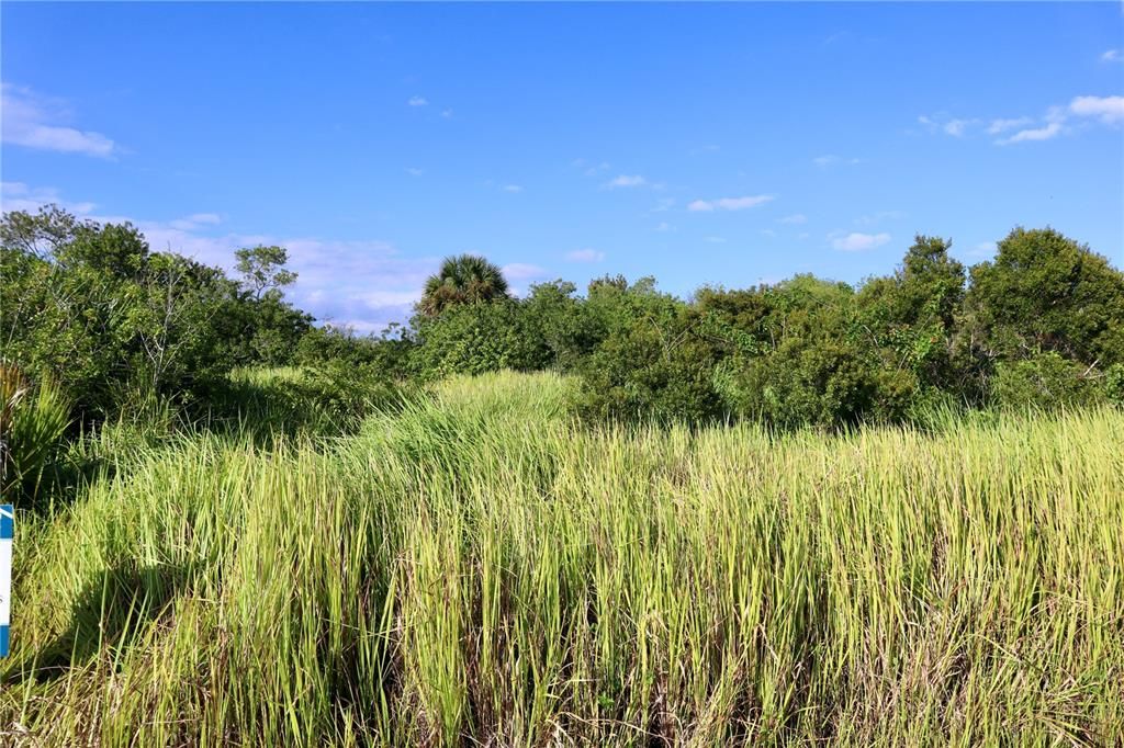 待售: $39,900 (0.24 acres)