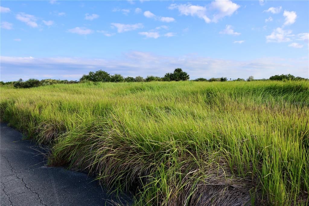 待售: $39,900 (0.24 acres)