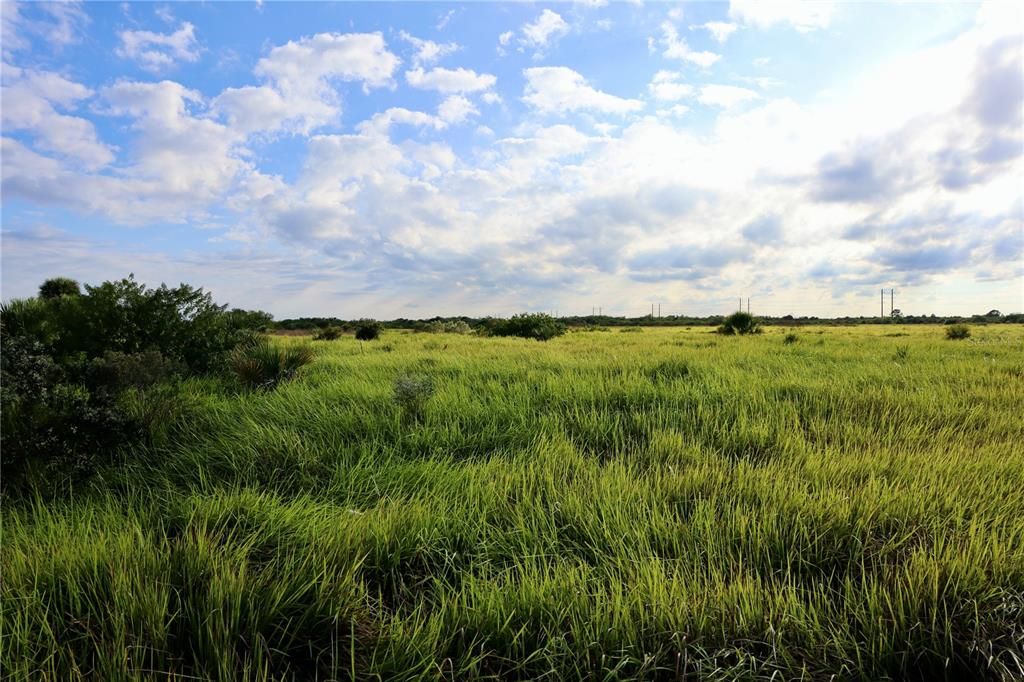 待售: $39,900 (0.24 acres)