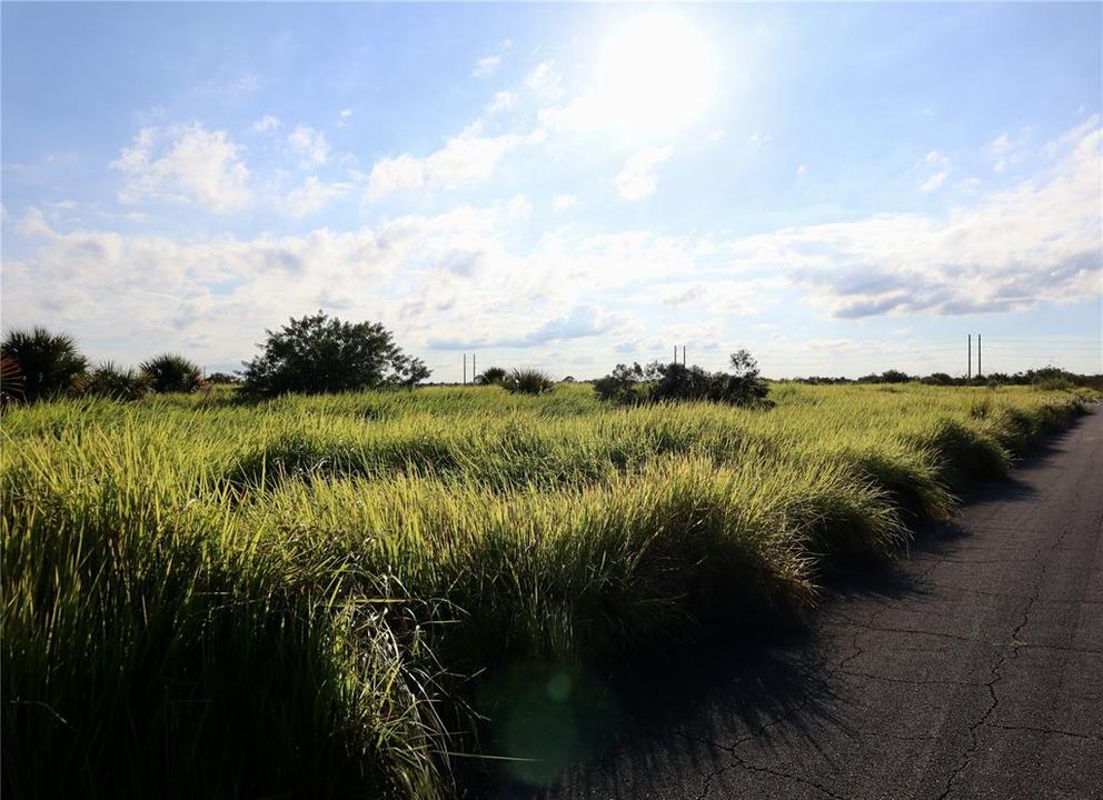 待售: $39,900 (0.24 acres)