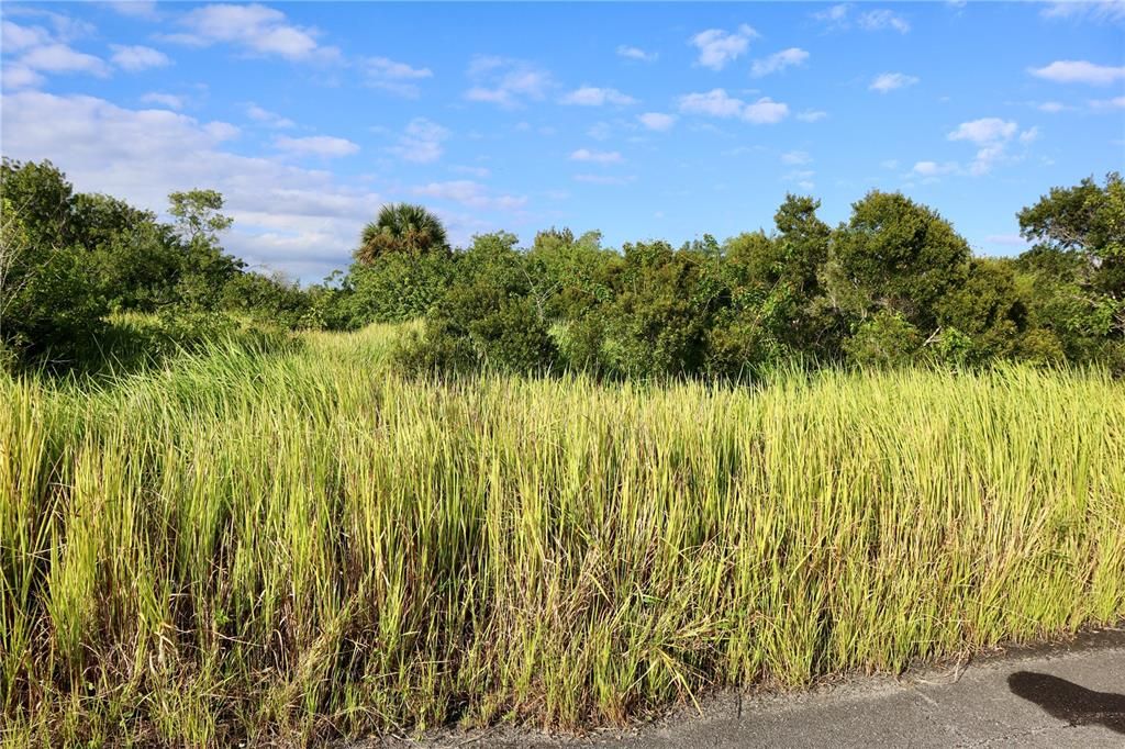 待售: $39,900 (0.24 acres)