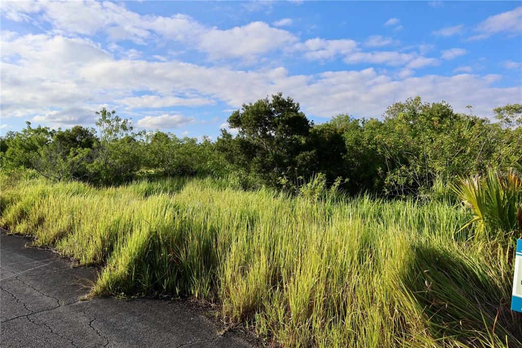 待售: $39,900 (0.24 acres)