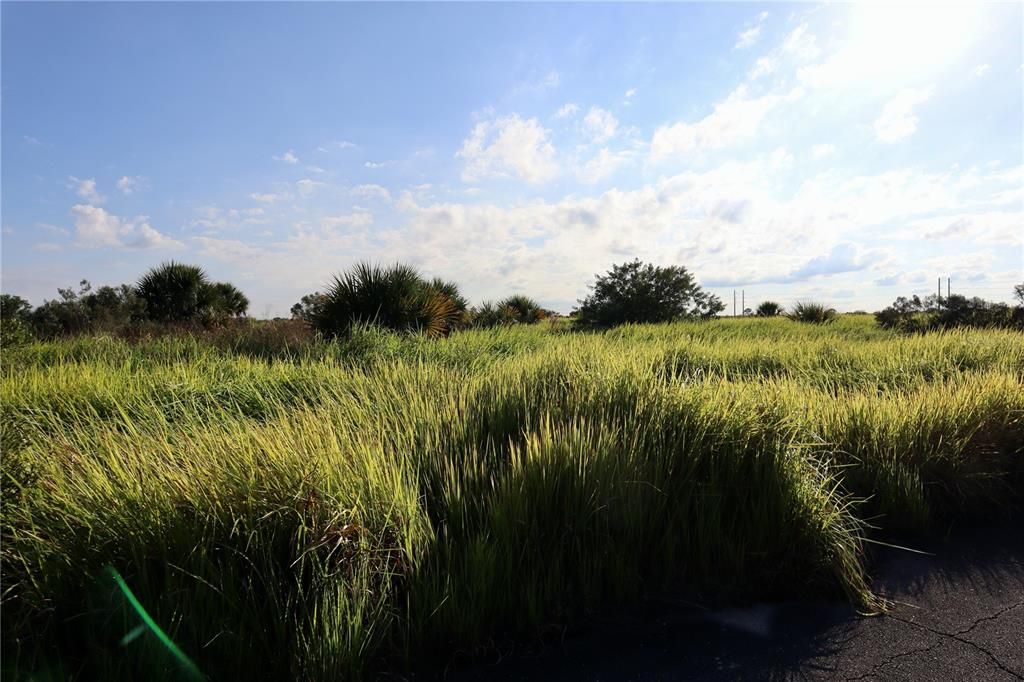 待售: $39,900 (0.24 acres)