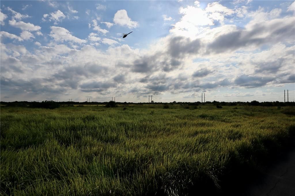 待售: $39,900 (0.24 acres)