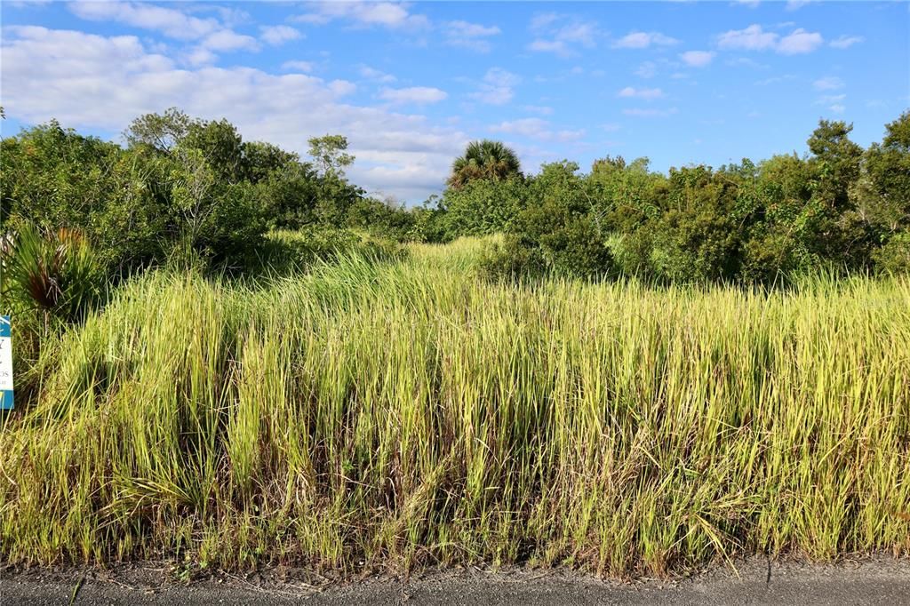 待售: $39,900 (0.24 acres)