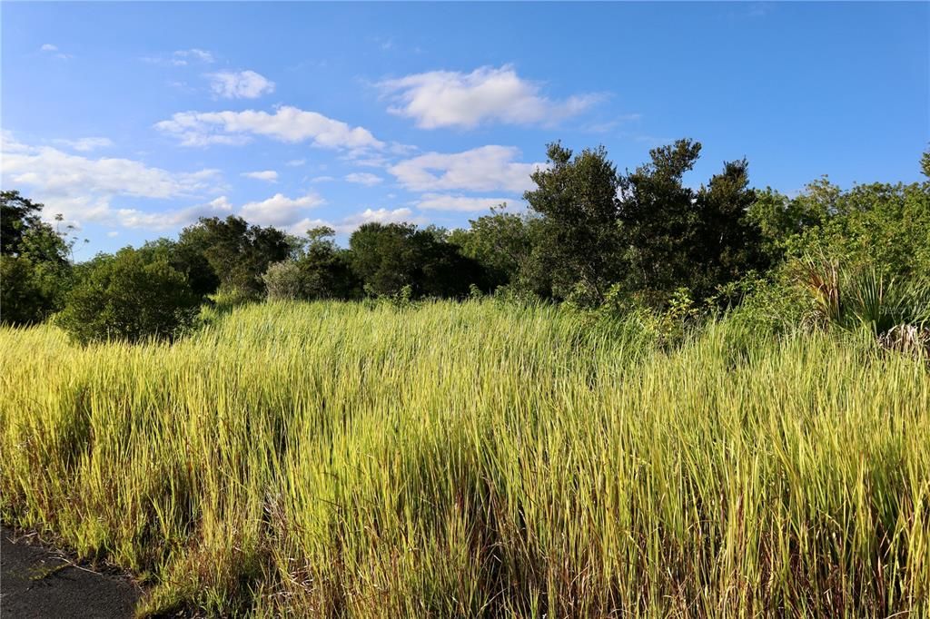 待售: $39,900 (0.24 acres)