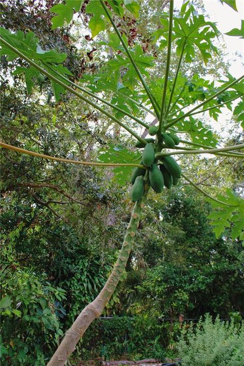 For Rent: $1,800 (1 beds, 1 baths, 352 Square Feet)