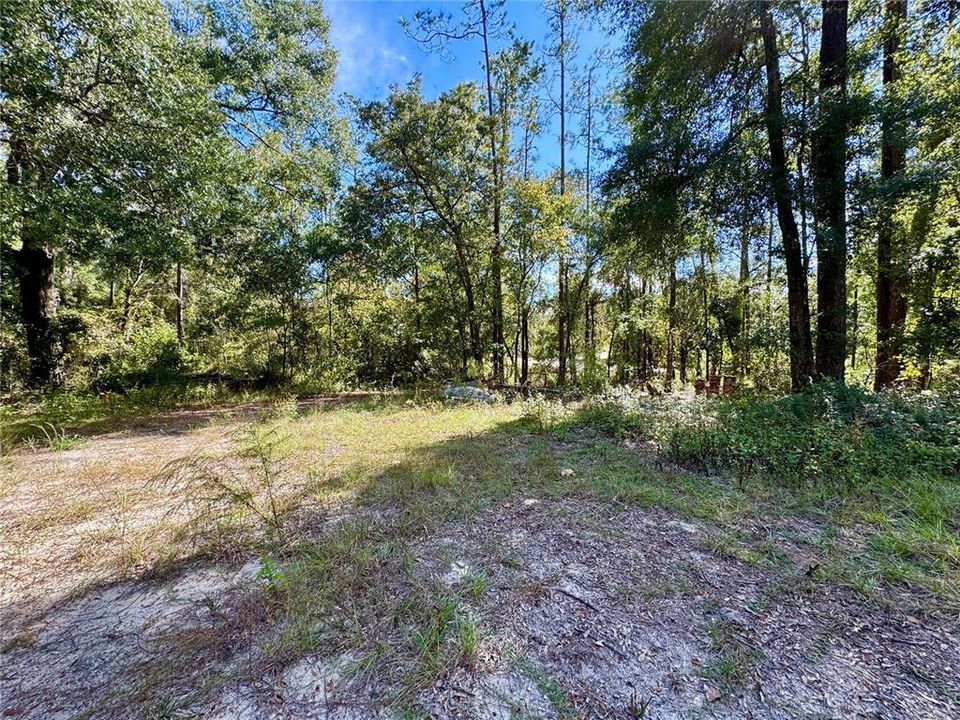 En Venta: $40,000 (0.92 acres)