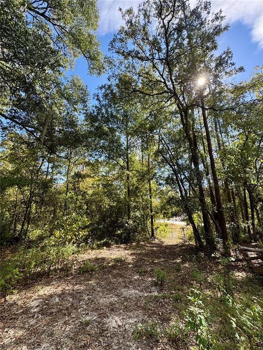 En Venta: $40,000 (0.92 acres)