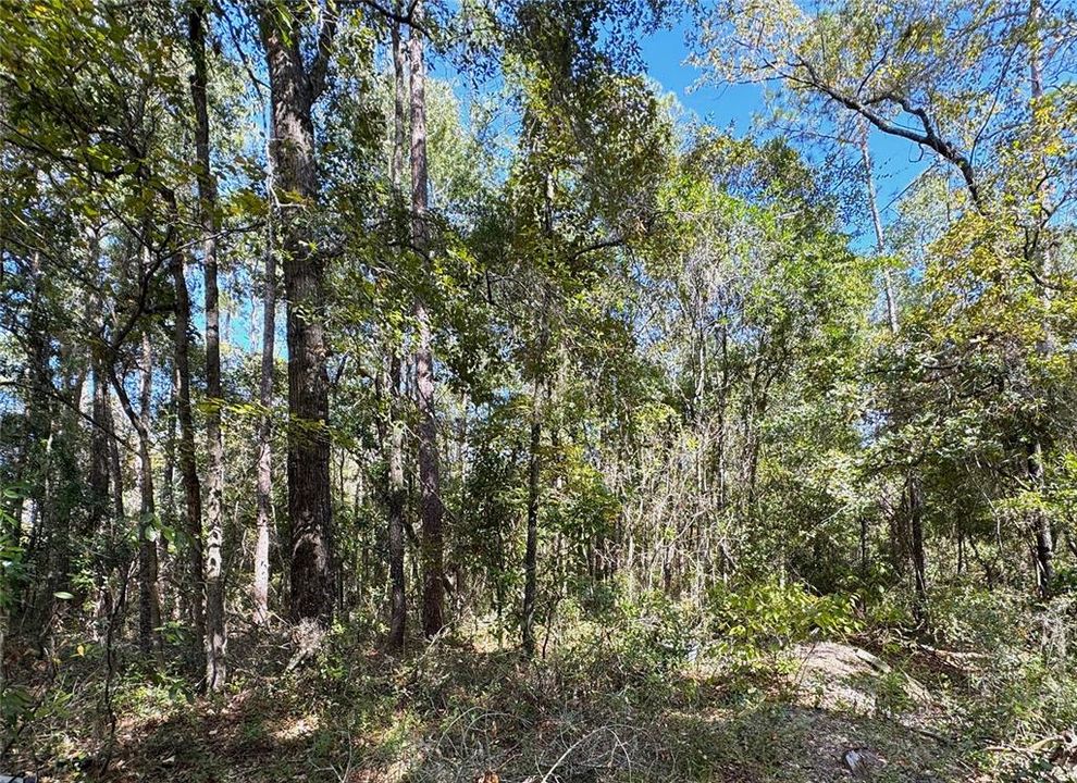 For Sale: $40,000 (0.92 acres)