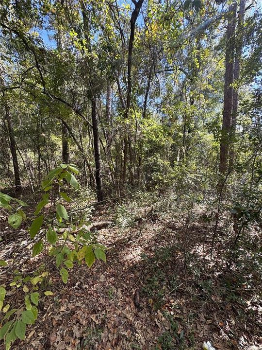 For Sale: $40,000 (0.92 acres)