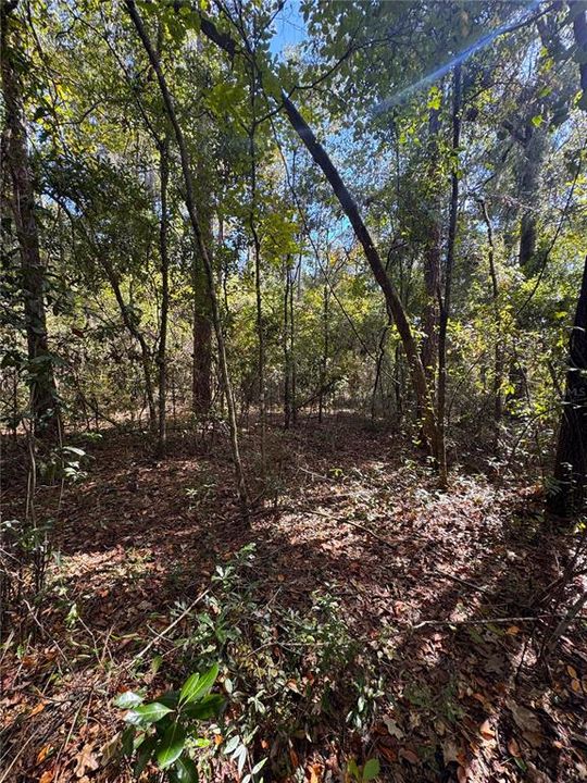 For Sale: $40,000 (0.92 acres)